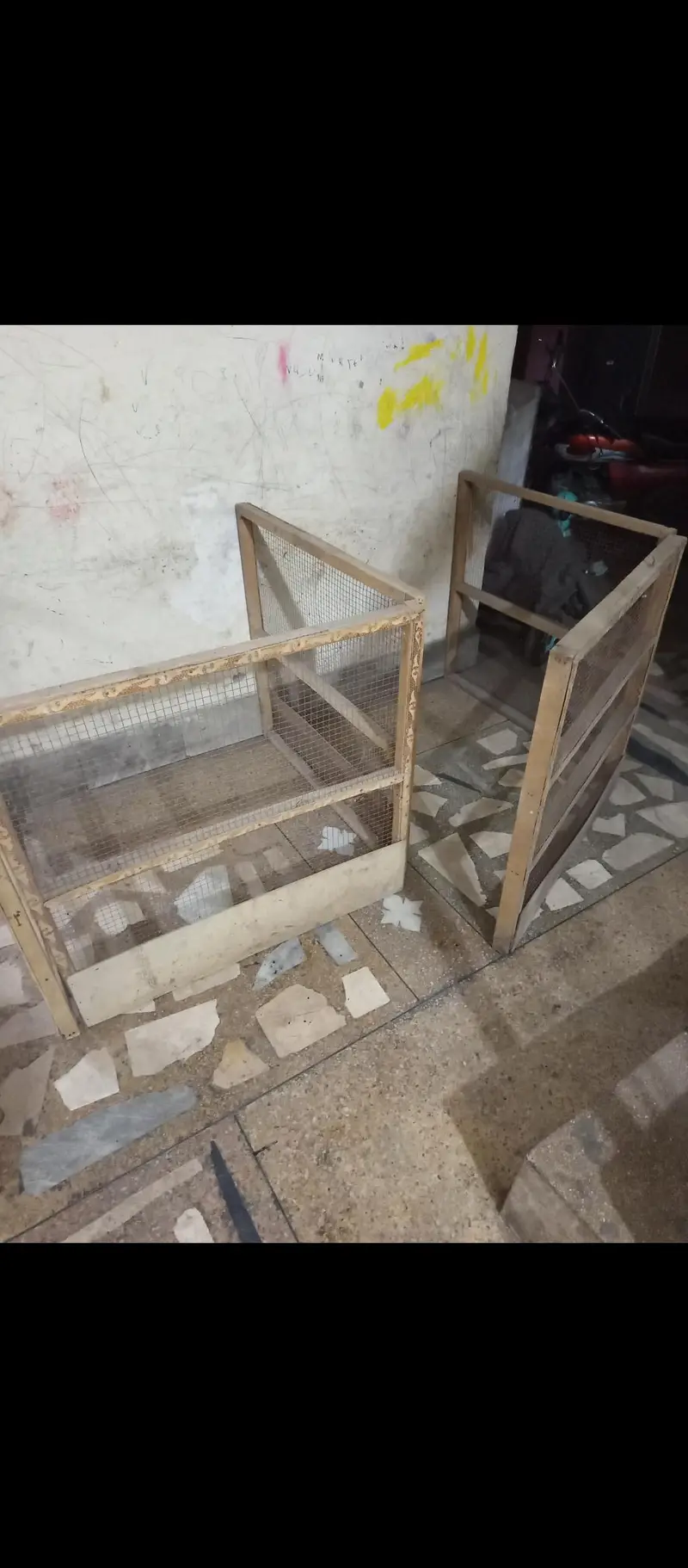hens cage — photo 2