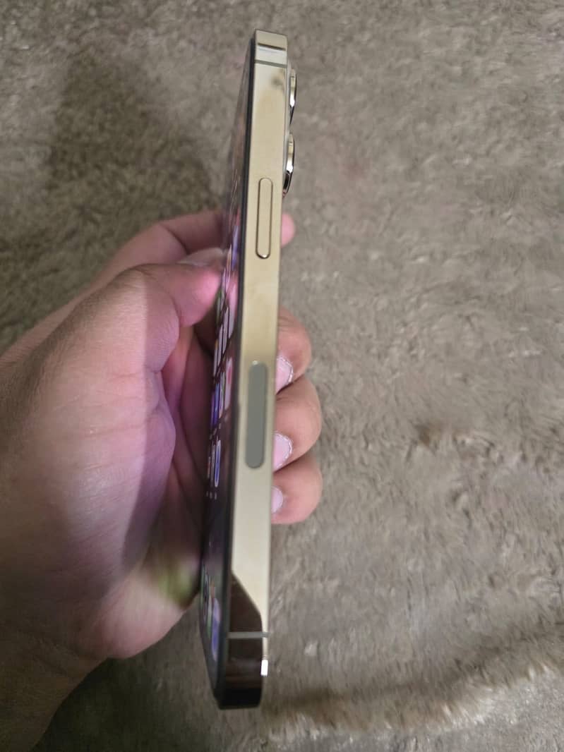 Apple iPhone 13 Pro 2