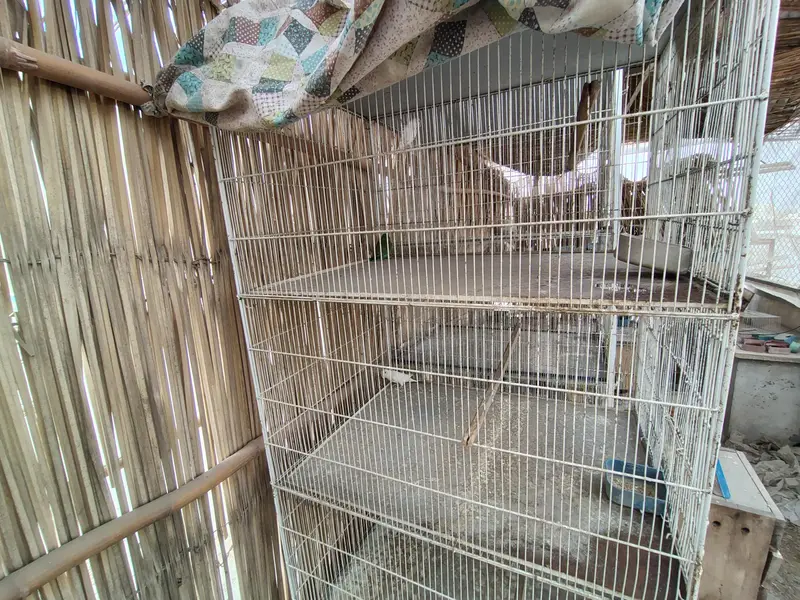Cage for sell — photo 2