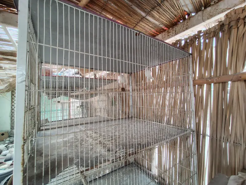 Cage for sell — photo 3