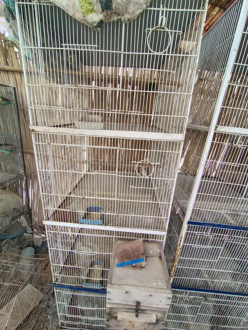 Cage for sell — photo 4