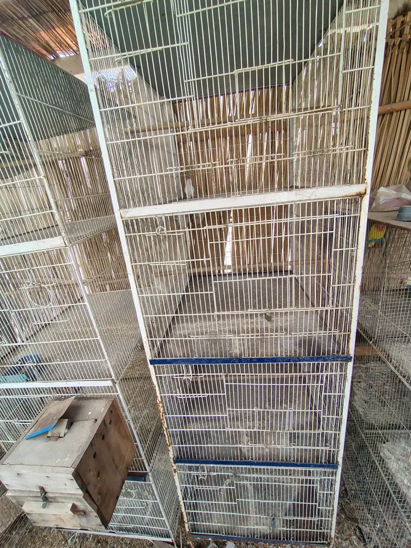 Cage for sell — photo 5