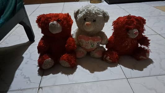 3 soft teddy