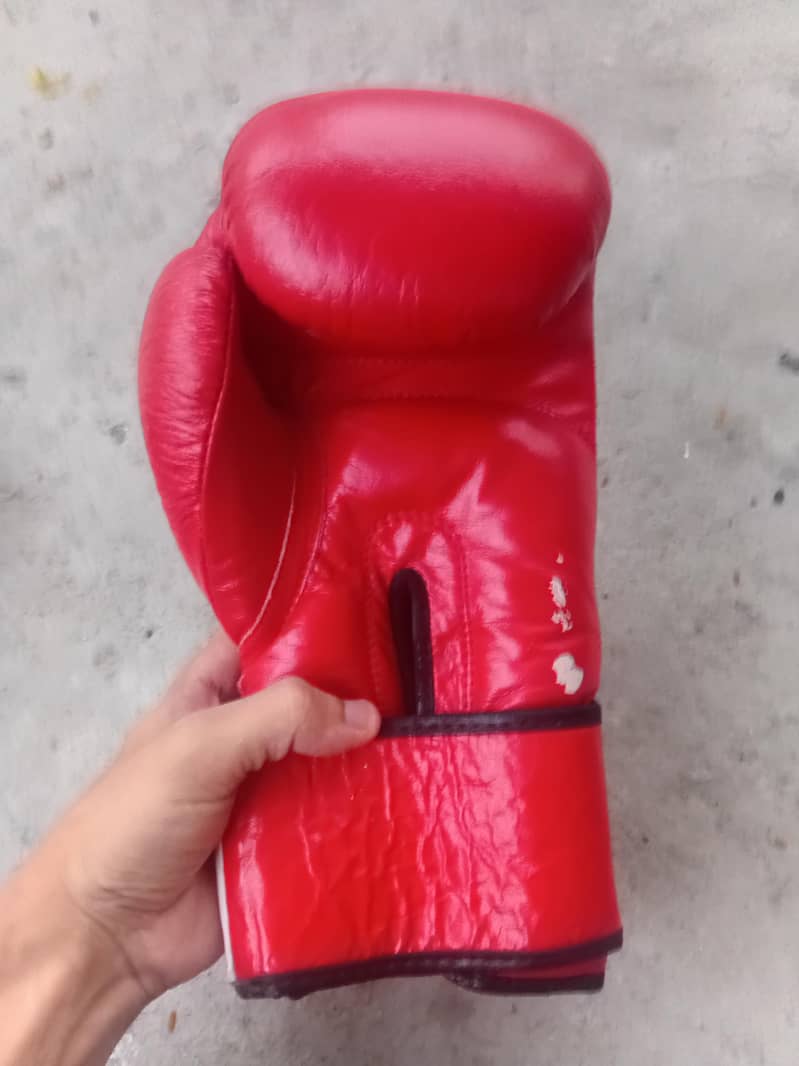 boxing gloves 1