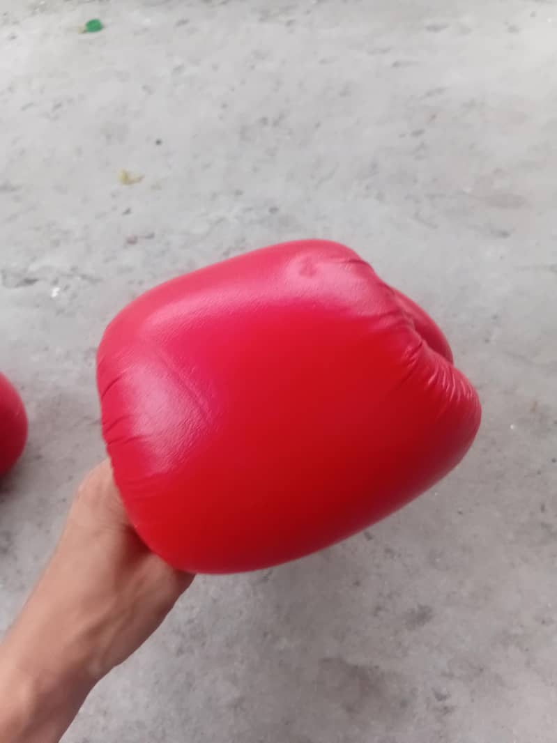 boxing gloves 2