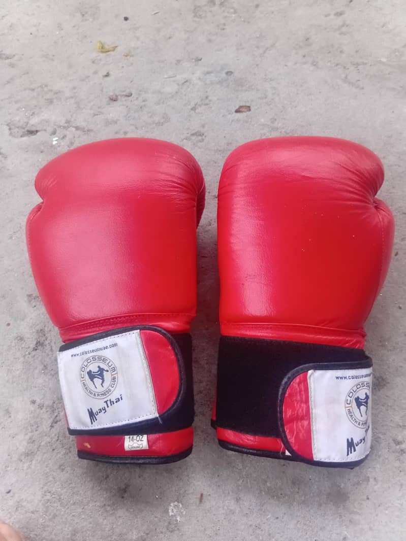 boxing gloves 5