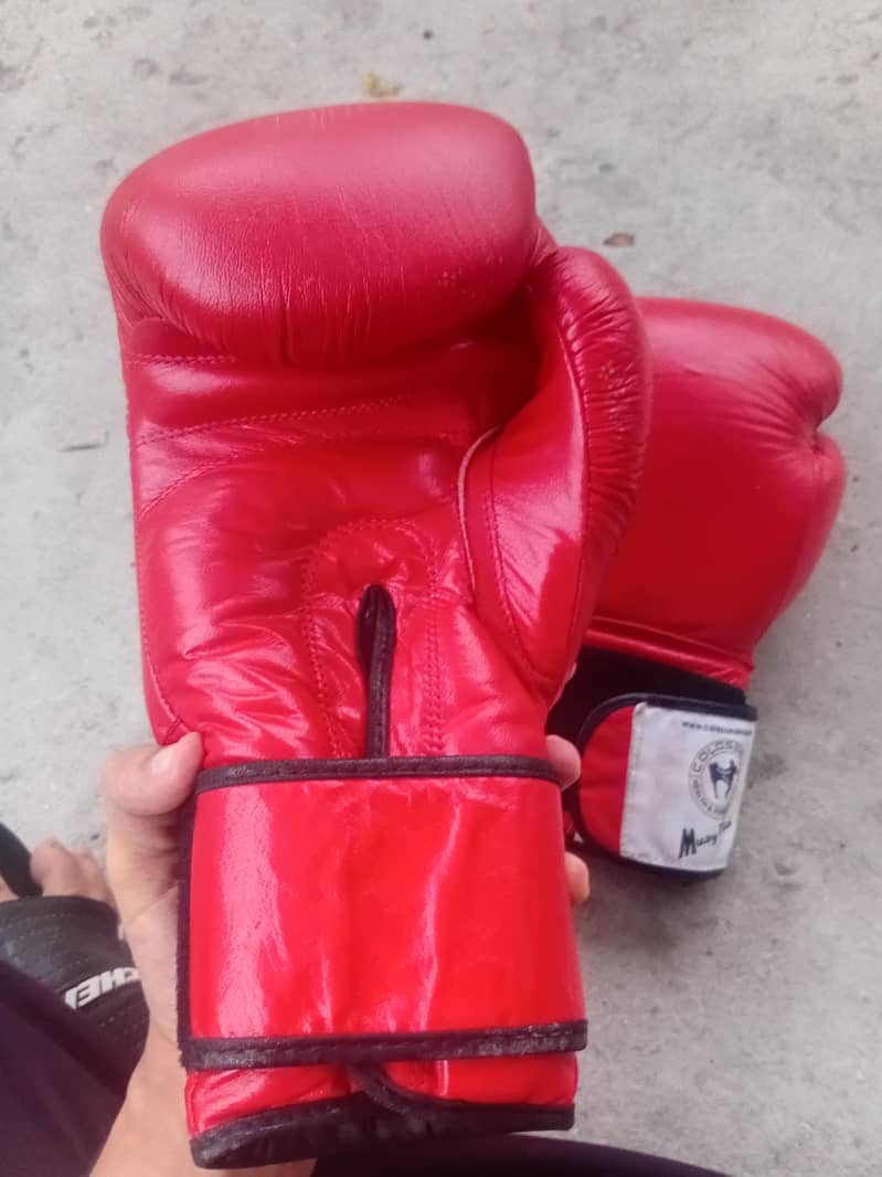 boxing gloves 6