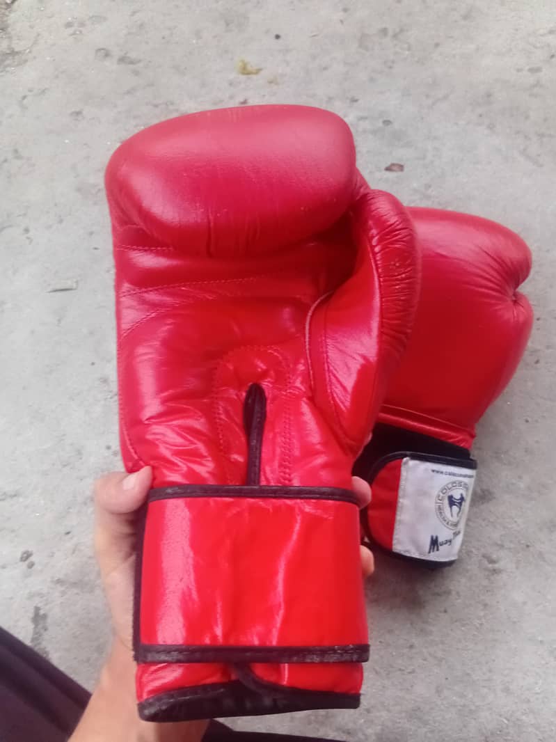 boxing gloves 7