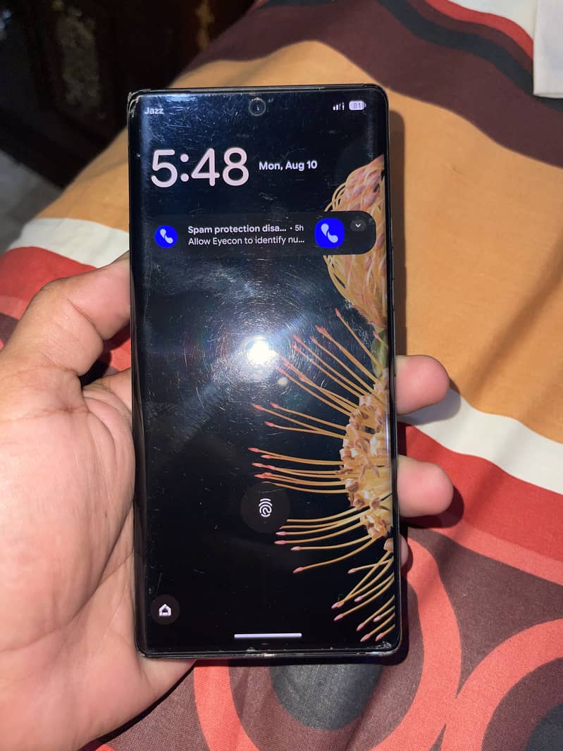 Google Pixel 6 Pro 1