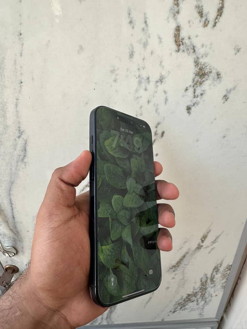 Apple iPhone 16 Pro Max 4