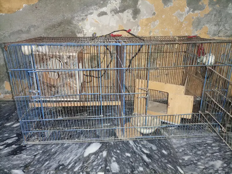 parrot cage 2 side 03204123573 — photo 2
