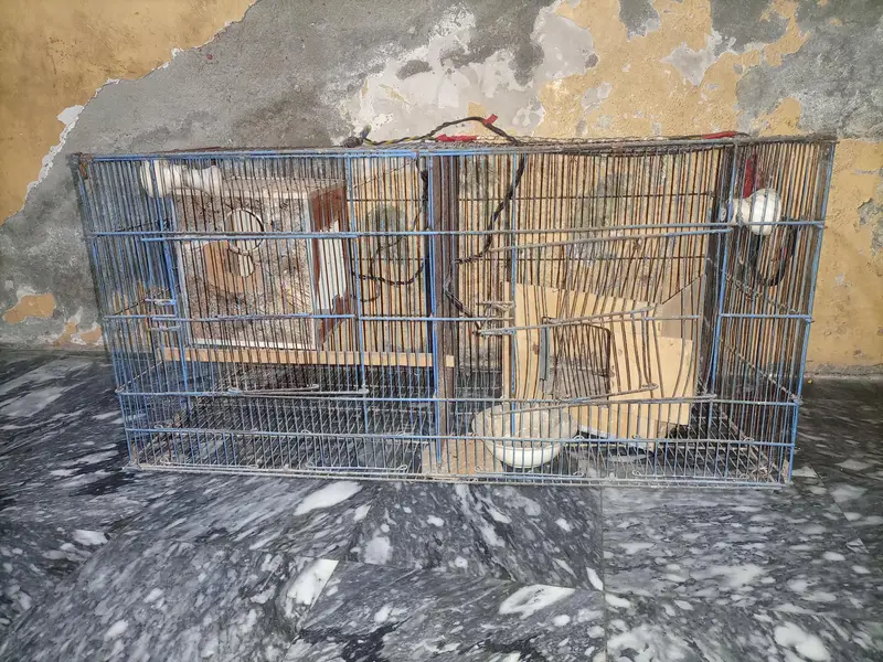 parrot cage 2 side 03204123573 — photo 3