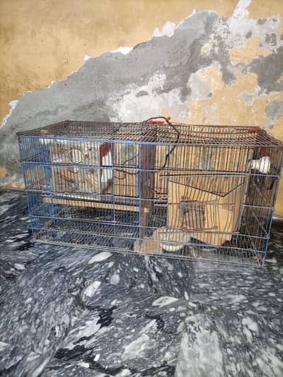 parrot cage 2 side 03204123573