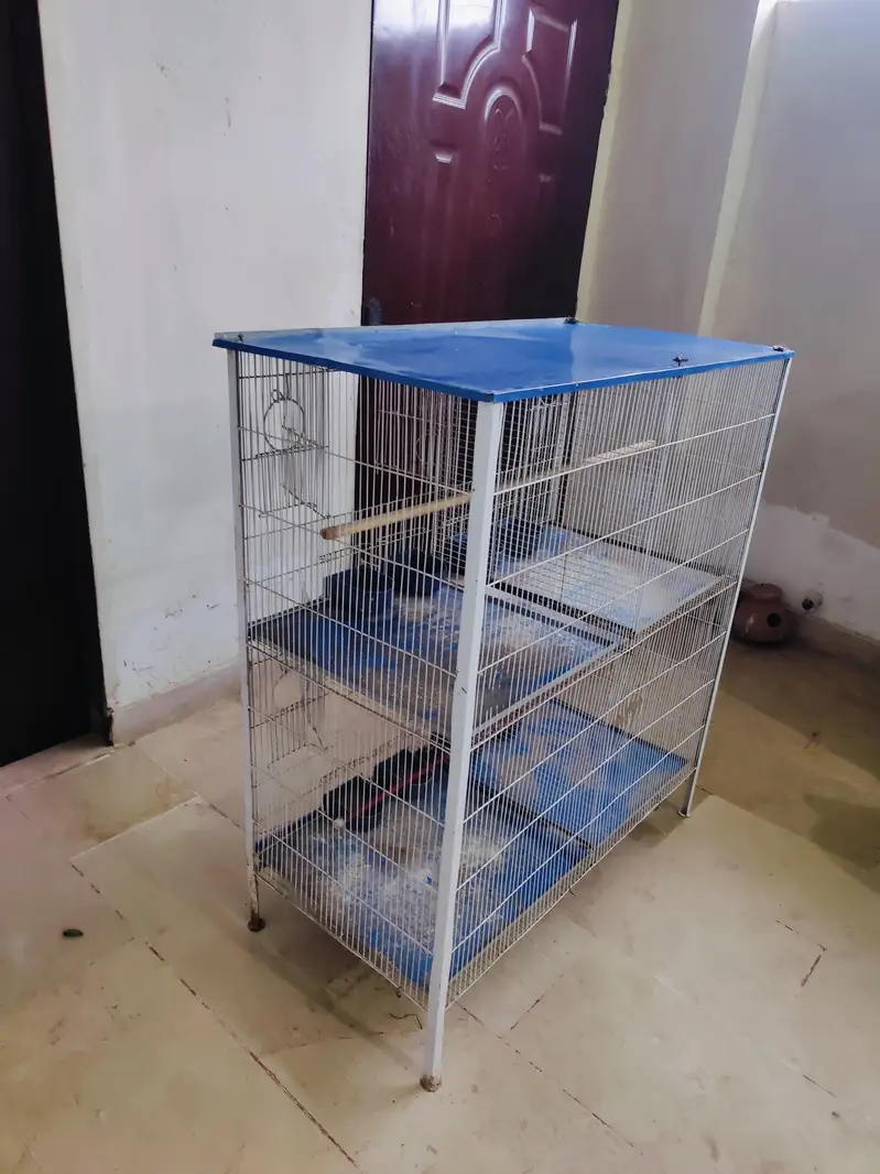 cage for birds — photo 2