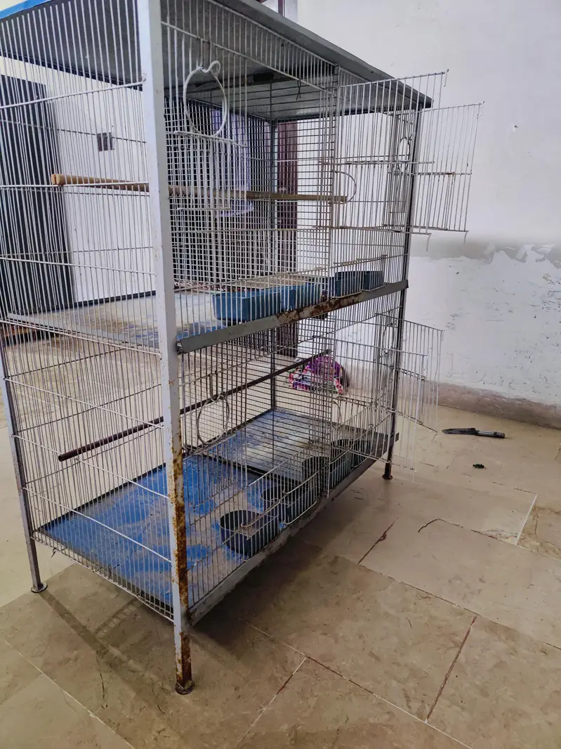 cage for birds — photo 3