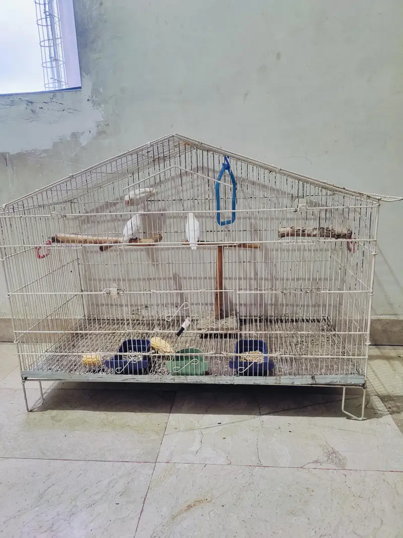 cage for birds — photo 4