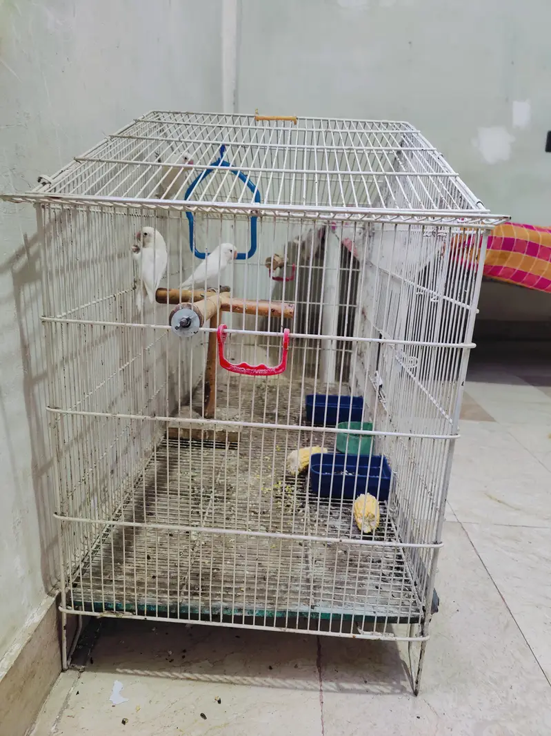 cage for birds — photo 6