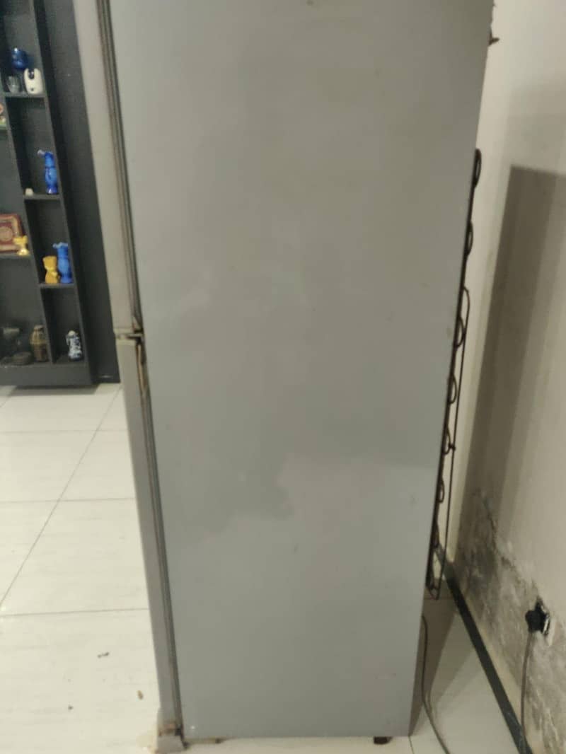 fridge 3