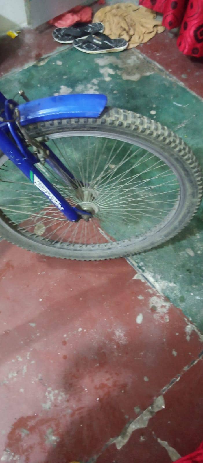 by cycle 5