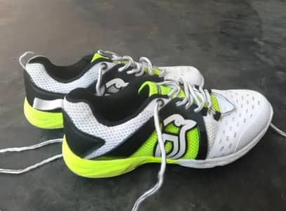 Brand New kookaburra Cricket Spikes Shoes