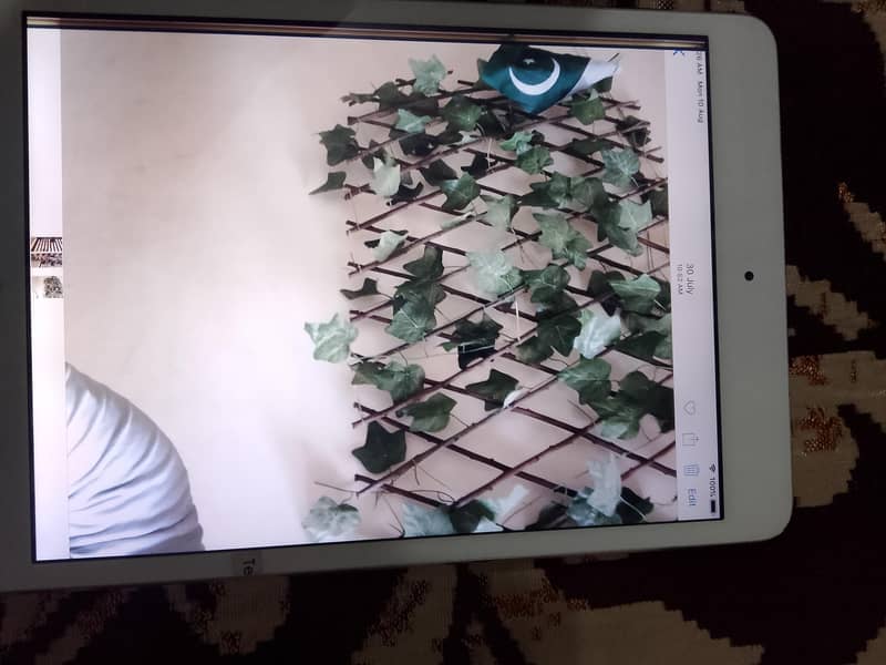 apple ipad mini 2 mint condition 11