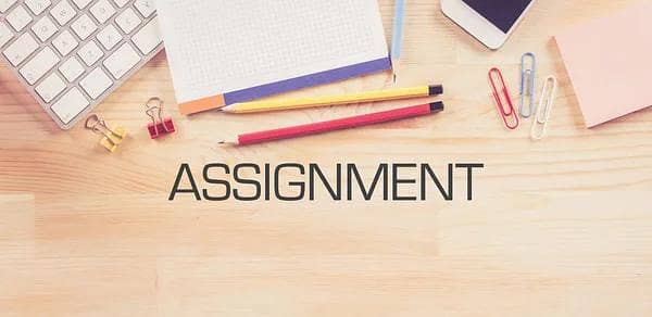assignment writing