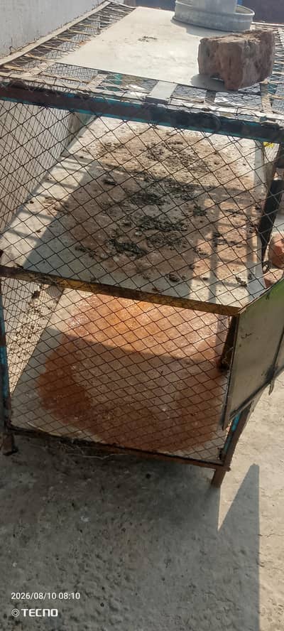 punjra or sell jisi chader