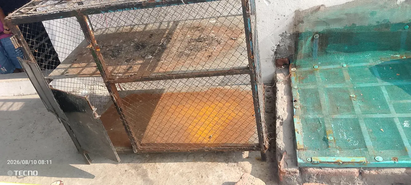punjra or sell jisi chader — photo 2