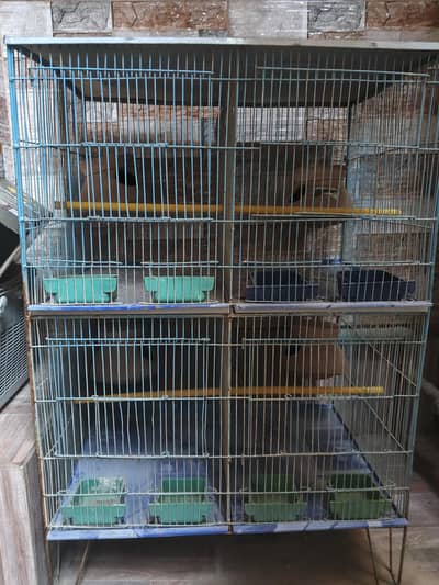 birds cage