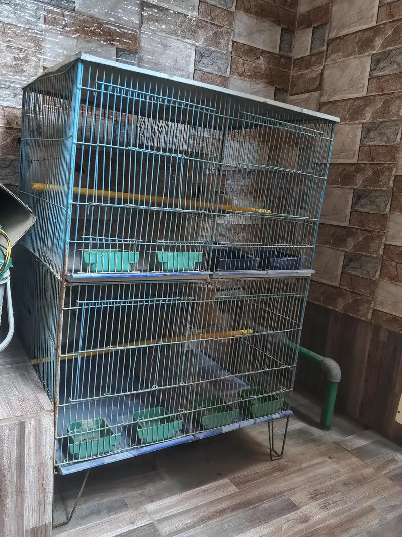 birds cage — photo 2