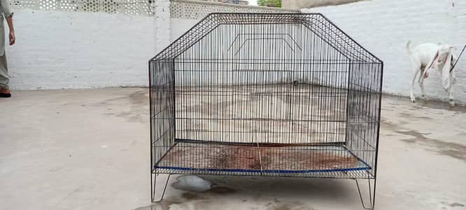 cage animal