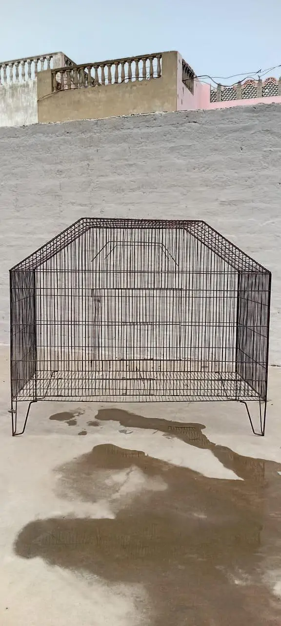 cage animal — photo 2