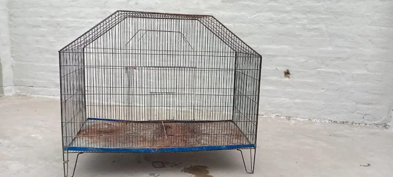 cage animal — photo 3