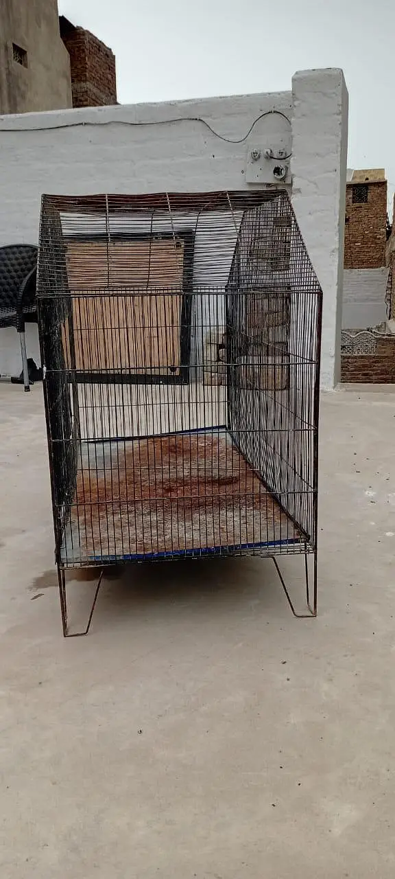 cage animal — photo 4