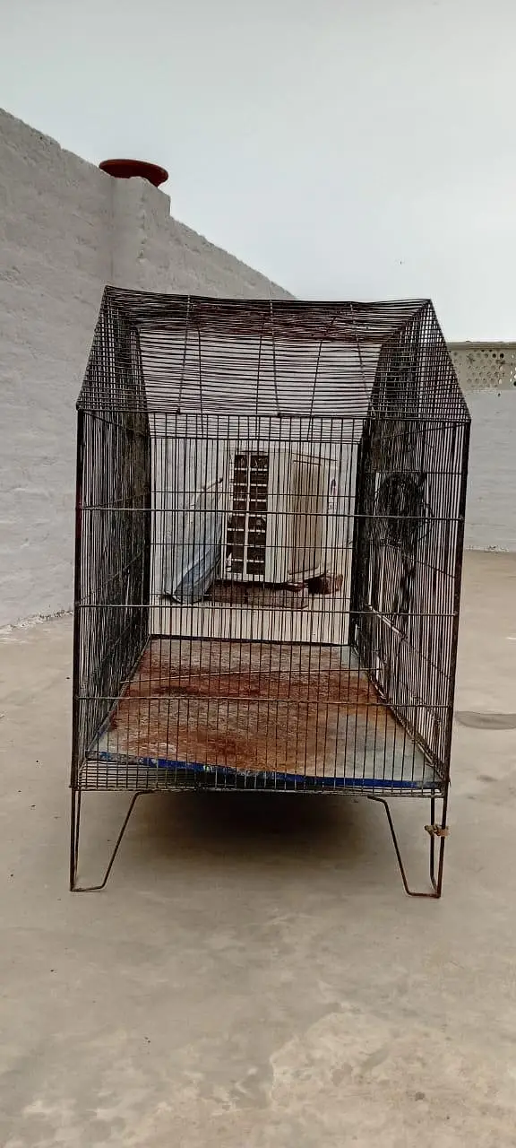 cage animal — photo 6