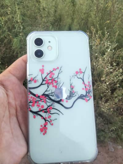 Apple iPhone 12