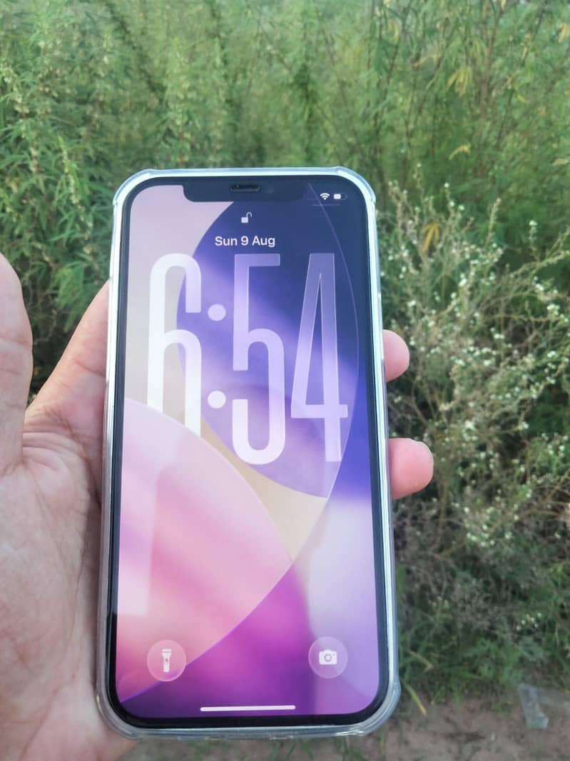 Apple iPhone 12 2