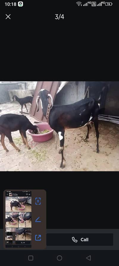 Bakri with kid