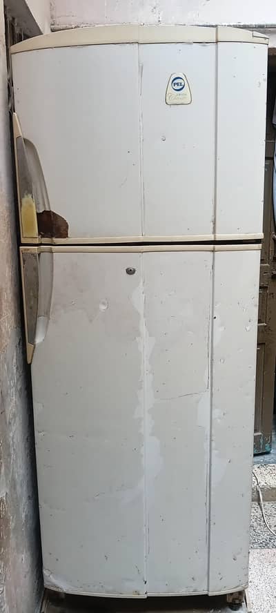 PEL Full size 18cbm fridge.