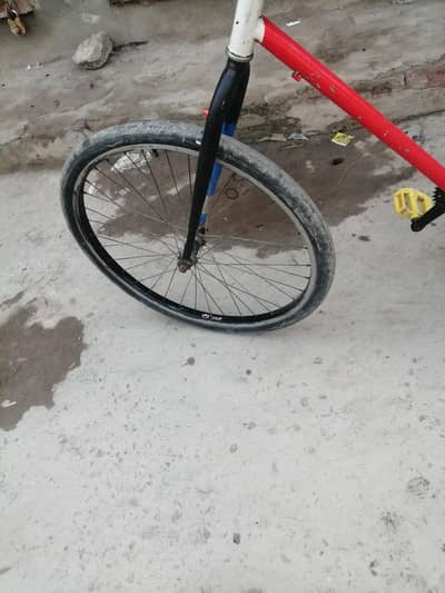 phoenix 26inch cycle for sale