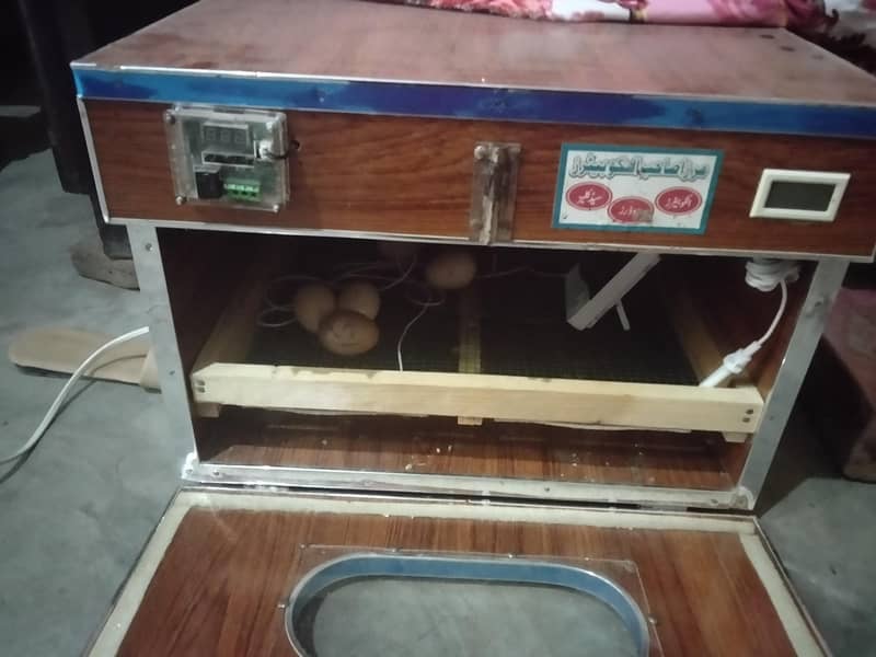 Incubator 4