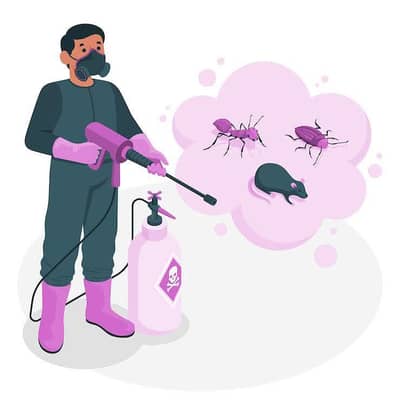 Sofa washing Cockroach Termite Fumigation spray water tank cleaning