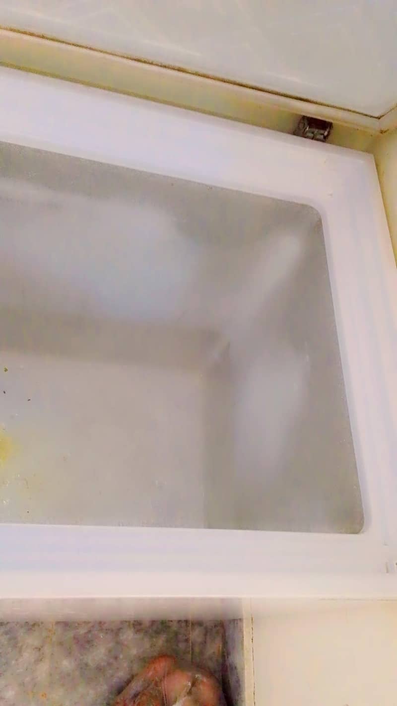 freezer 4