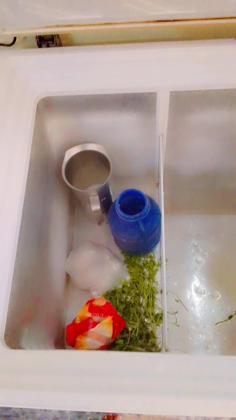 freezer 6