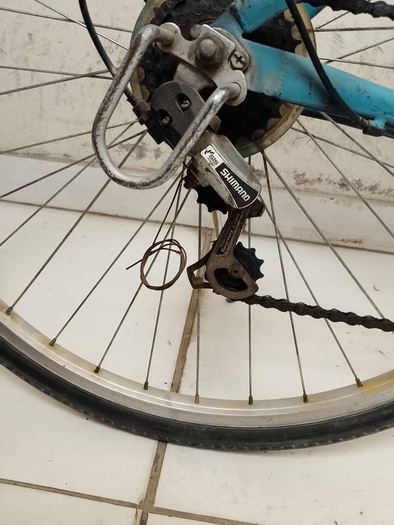 bicycle 6