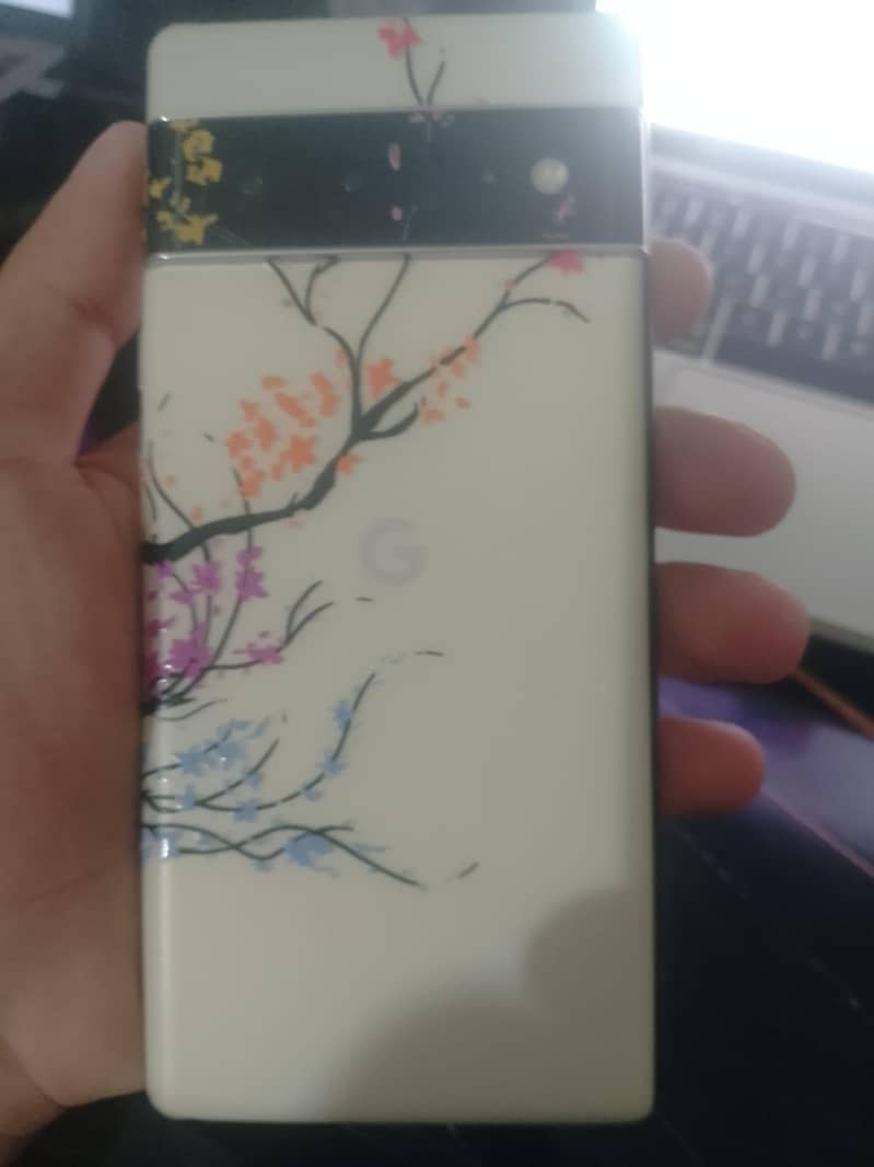 Google Pixel 6 Pro 1