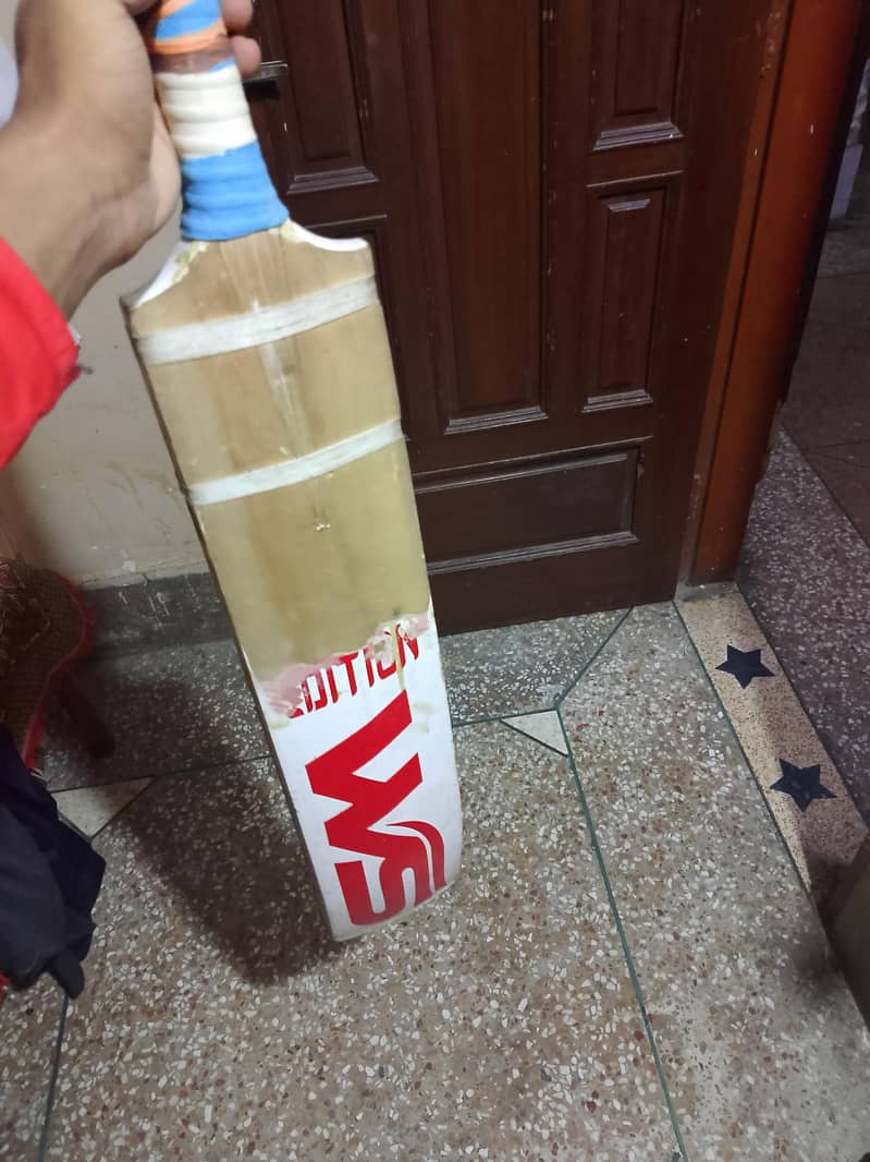 cricket bat 0