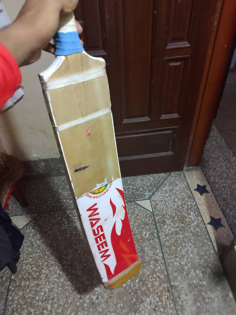 cricket bat 1