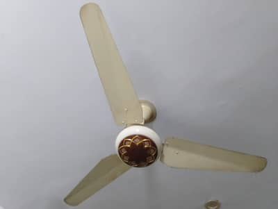 Design Ceiling fan for sale