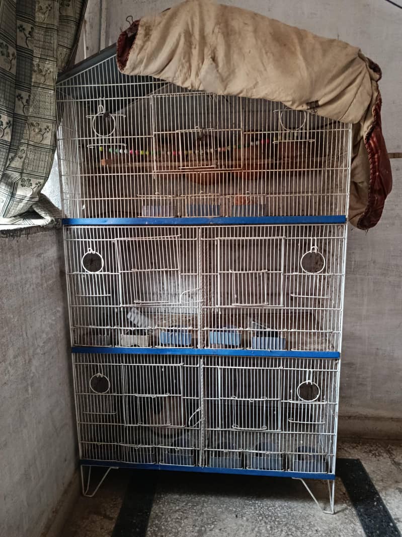 cages 1